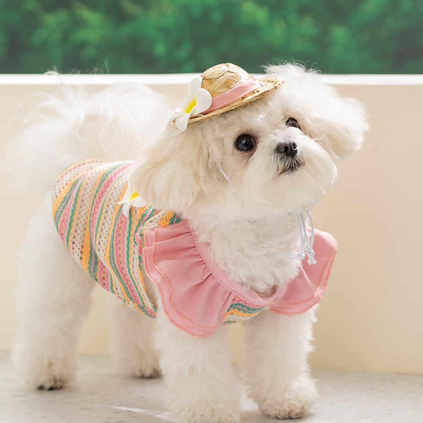 Dog Clothes Spring Summer Pastoral Vacation Style 3D Floral Vest Hollow Breathable Cat Clothes with Hat