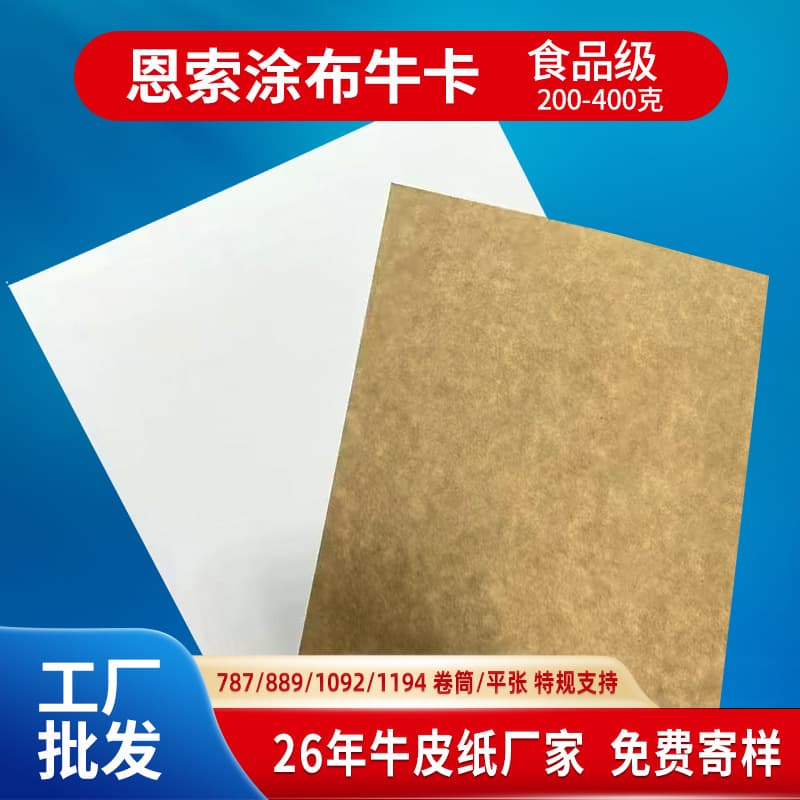 Paper mill Enso coated kraft paper rolls, food-grade frozen packaging white surface boxboard, EUDR eco-friendly kraft paper.
