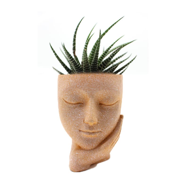 Creative personalized garden balcony cute little face flower pot outdoor succulent plant flower pot crafts courtyard ornaments