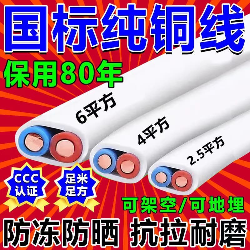 National Standard Pure Copper Wire Dual-Core BVVB/RVVB Copper Core Hard/Soft Wire 2.5/4/6 sq. mm Cable Home Installation Sheathed Wire