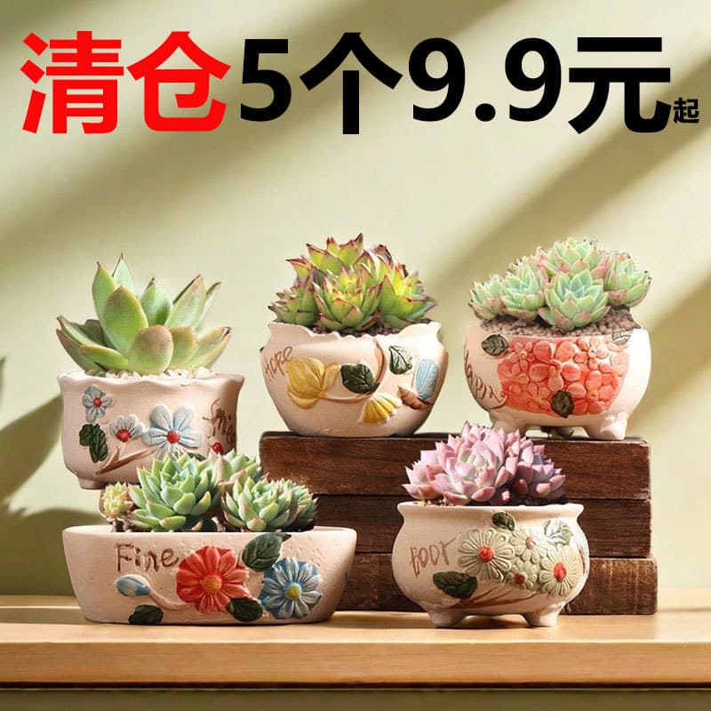 Succulent Flower Pot Home Use Large and Small Unglazed Terracotta Pot Coarse Ceramic Creative Root Control Tray Ceramic Flower Pot Clearance Wholesale