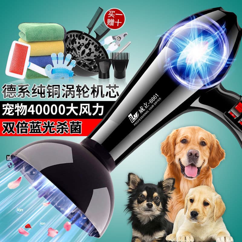 Pet store dog hair dryer, grooming brush, quick-drying all-in-one, high-powered for large dogs and pets.
