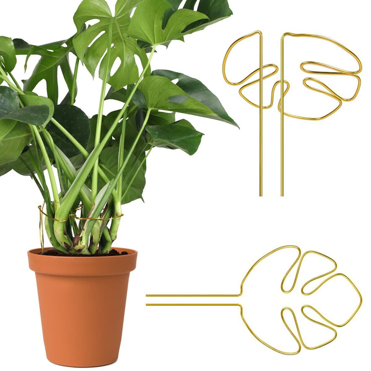 Cross-border Hot Selling Plant Support, Monstera Shaped Plant Support