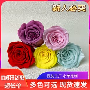 Yunnan Huazhe Multi-Color Stock Wholesale B Grade Recommended Preserved Rose Flower Head Suitcase Preserved Flower DIY Material