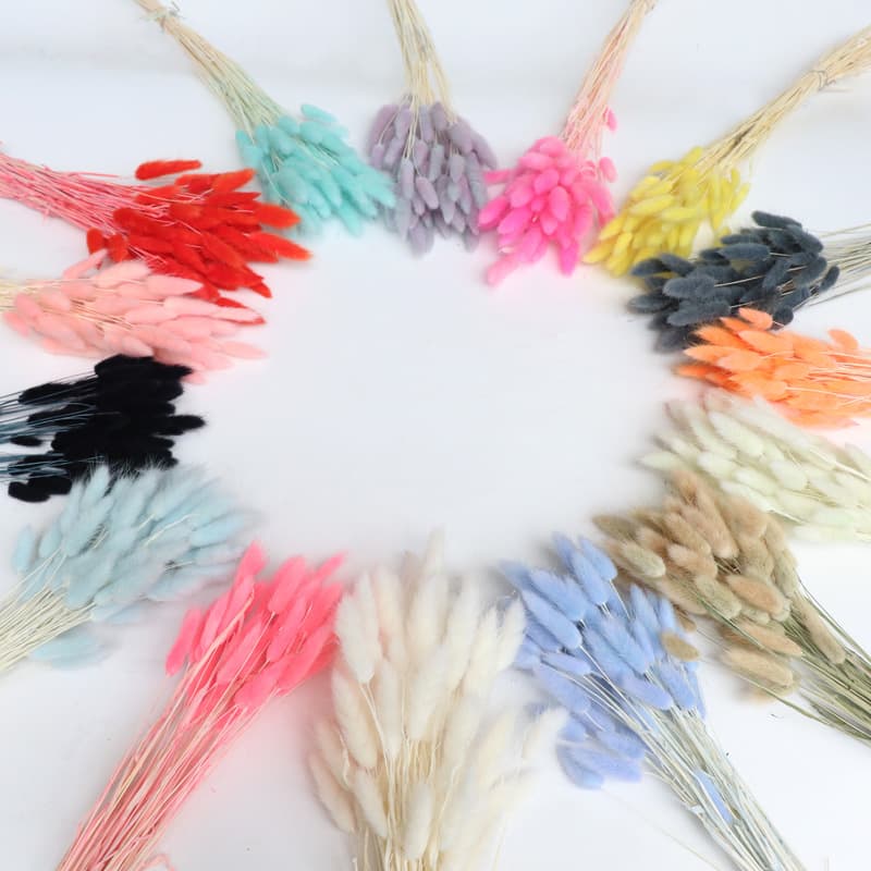 Dry Flower Bouquet Real Flower Rabbit Tail Grass Yunnan Factory Wholesale Dried Flower Professional Everlasting Flower Packaging