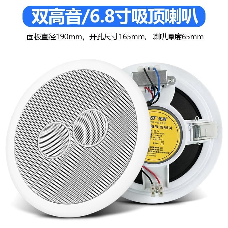 Cross-border Xianke dual tweeter ceiling speaker, shop-specific low-profile speaker, Bluetooth ceiling-mounted recessed ceiling
