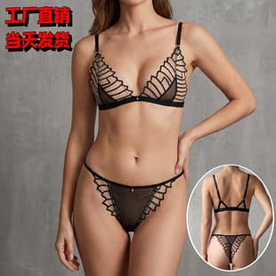 2026 New Black Shapewear Two-Piece Women's Set with Embroidered Sheer Mesh Bra Lingerie Set Factory Wholesale