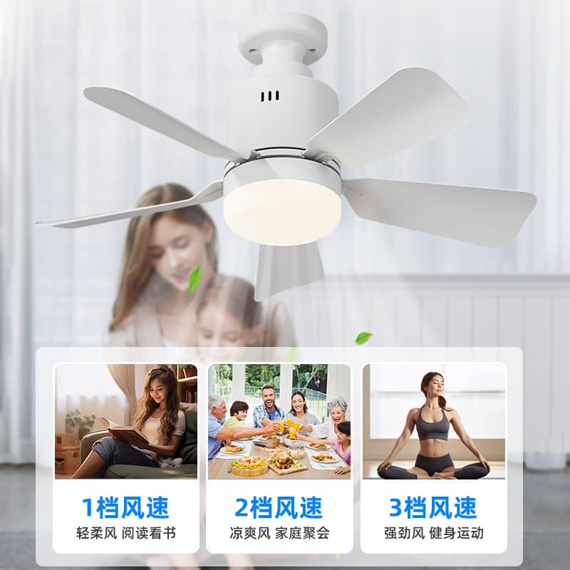 Cross-border Hot Selling Household Fan Light E27 Removable Fan Blades Lamp for Dining Room Bedroom Remote Control Ceiling Fan Light Zhongshan Lighting