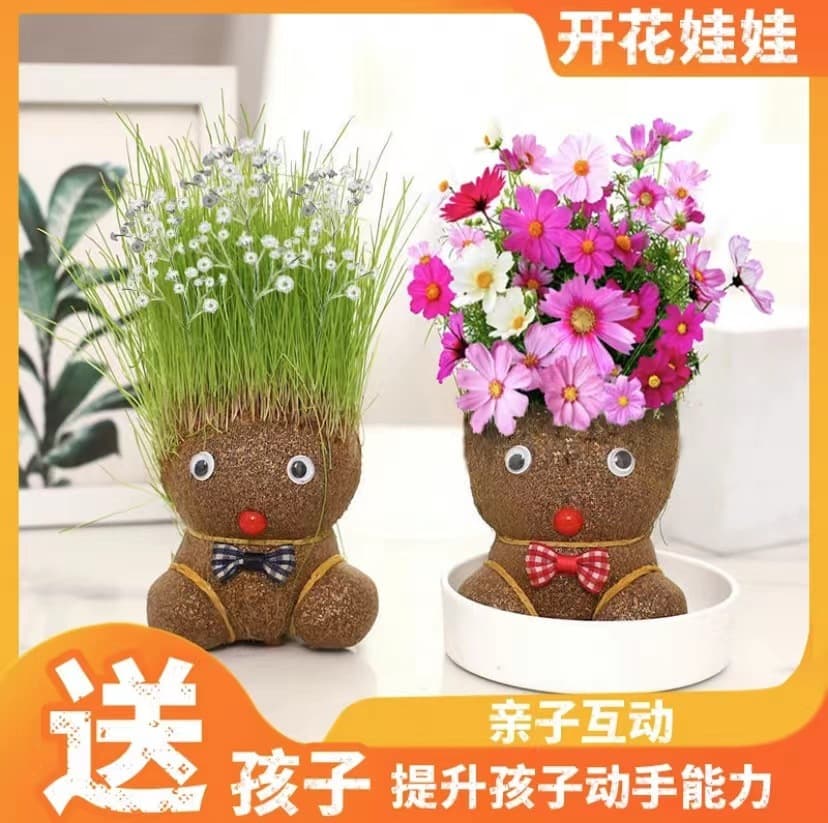 Grass grows on the head, dolls, grass heads bloom, children plant small potted plants, grow grass and green plants, observe plant growth in kindergarten