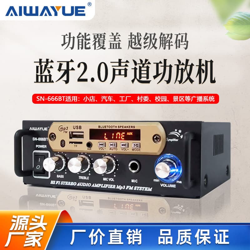 Sn-666Bt Mini Bluetooth 2.0 Channel Amplifier Card - Insertable USB Drive Radio Car Audio Power Amplifier