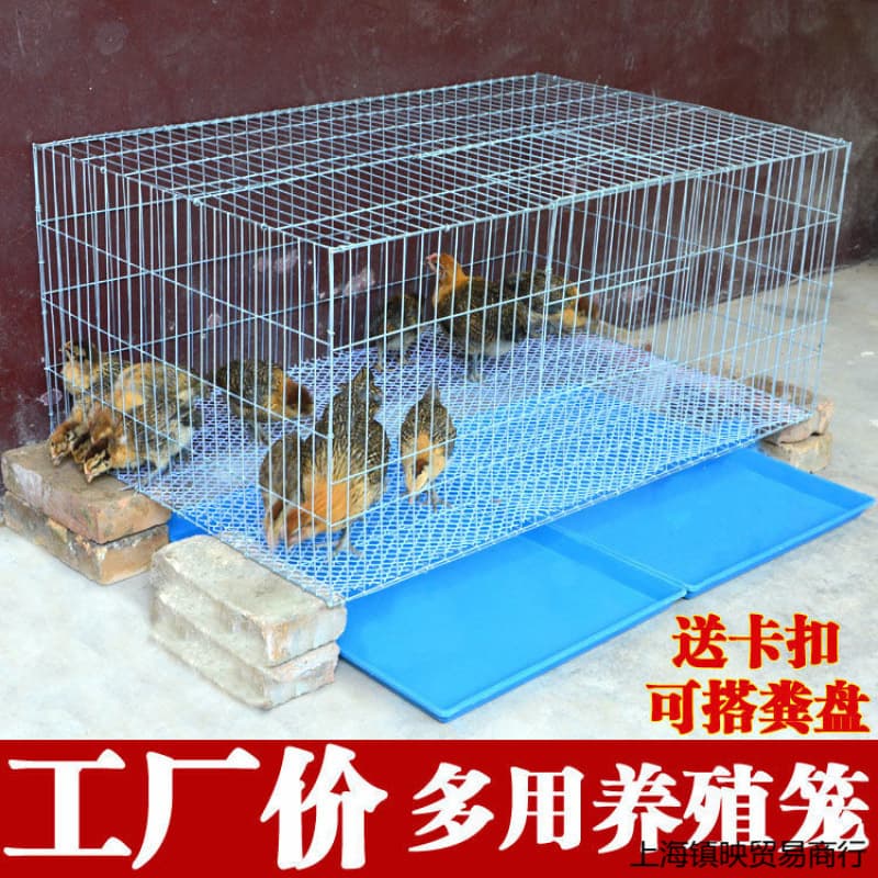 Large Home Chicken Coop, Breeding Cage, Chick Brooder Cage, Heavy-Duty Chicken House Equipment