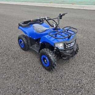 European American Beach ATV Electric ATV Lead Acid Battery All-Terrain Vehicle Four-Wheel Electric Vehicle 36V 800W