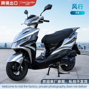 Fengxing Cross-border Export Adult Gasoline Two-wheel Scooter Fuel-efficient Pedal Gasoline Moped