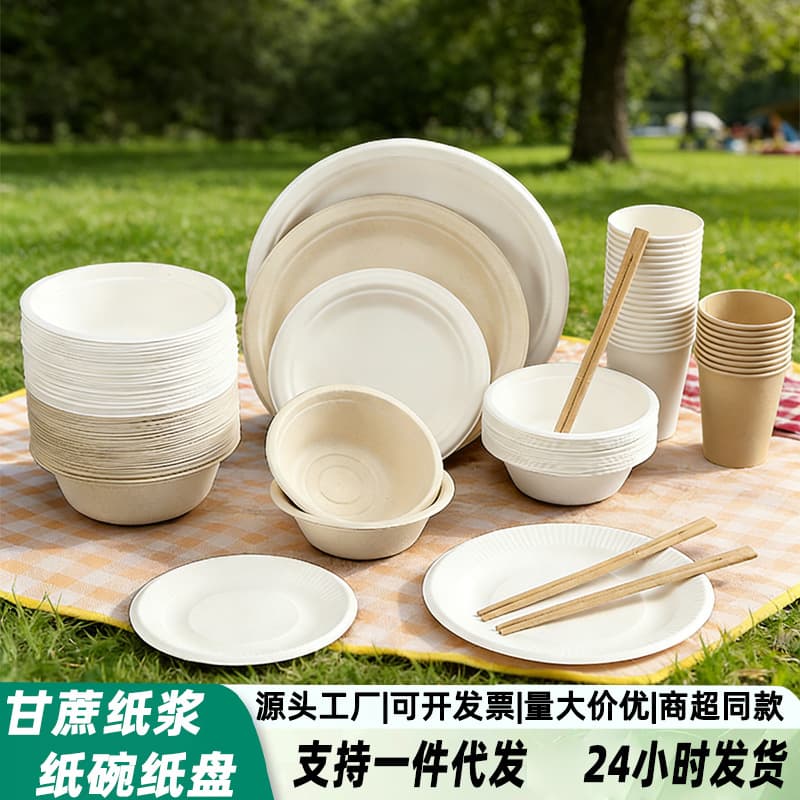 Pisces simple disposable lunch box packaging box fast food box sugar cane pulp outer lunch box disposable bowl tableware wholesale