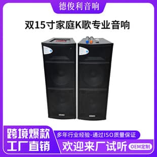15-inch Home Karaoke Speaker, Outdoor Performance High-Power Professional Audio Equipment, Bar Party Square Dance Speaker
