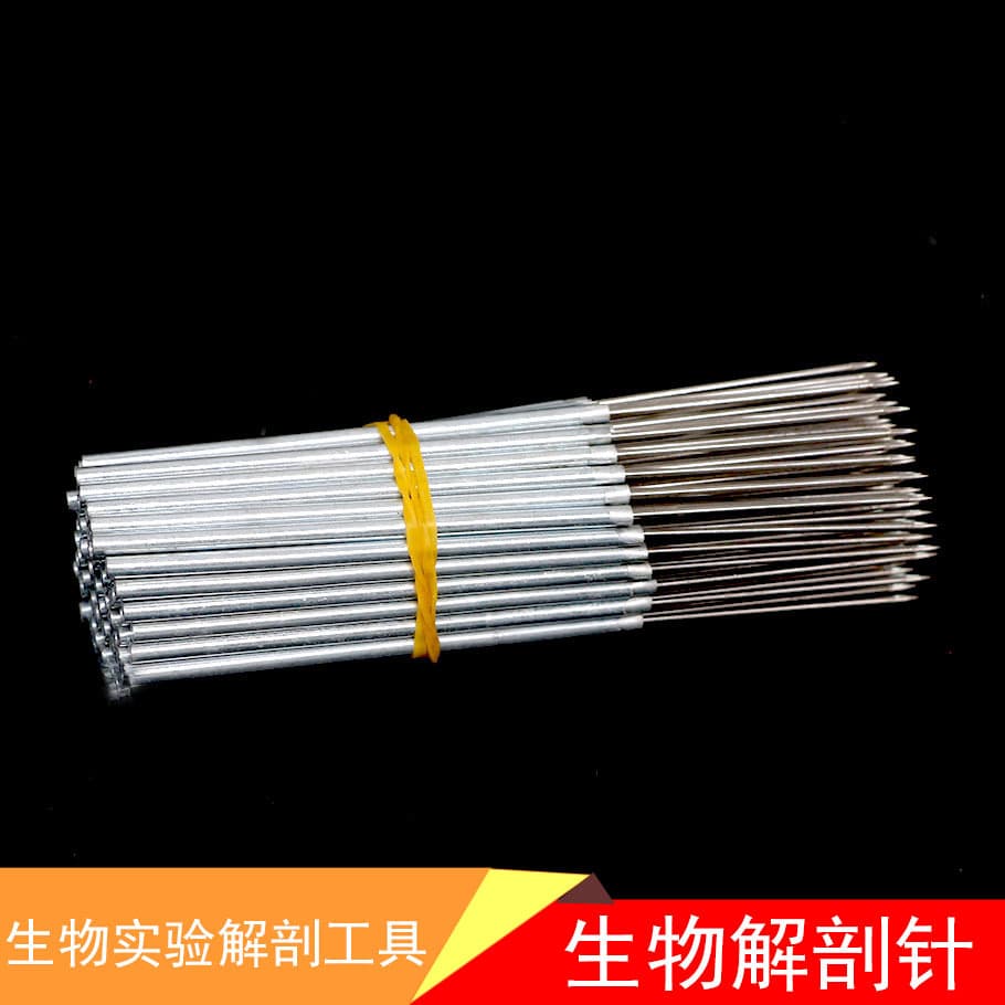 Dissecting Needle, Insect Dissecting Needle, Junior High Biology Dissecting Needle, Approximately 13cm, Teaching Biology Experiment Instrument