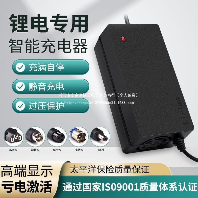 Lithium Battery Electric Vehicle Charger 48V 36V 60V 24V 2A 72V Lithium Ion Universal for Harley Balance Scooter