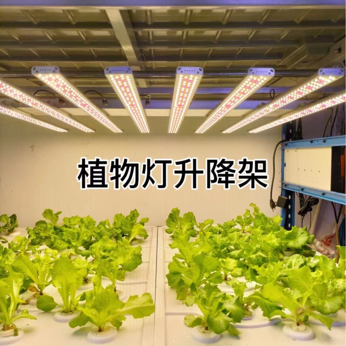 Customized plant light lifting frames, plant light lifting poles, greenhouse light lifting electric lifting rods, lifting racks