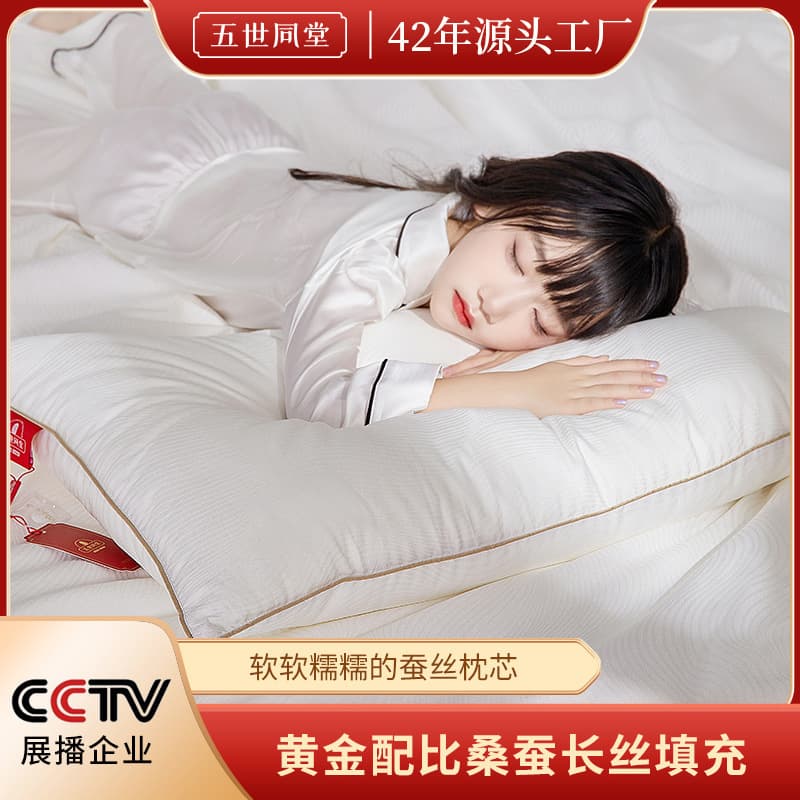 Upgraded Silk Pillow Same Fabric Customizable, Double/Single Pillow, Gift Customization