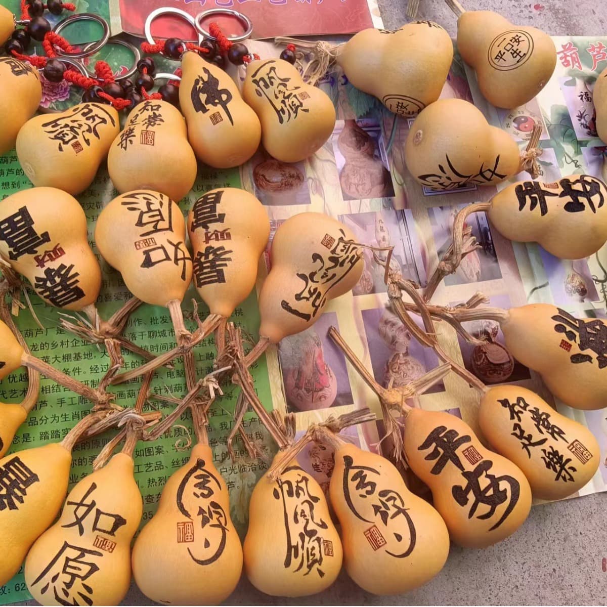 Gourd cultivation, this year's hot-selling American small chubby and large belly gourds with heads for carving and keychains
