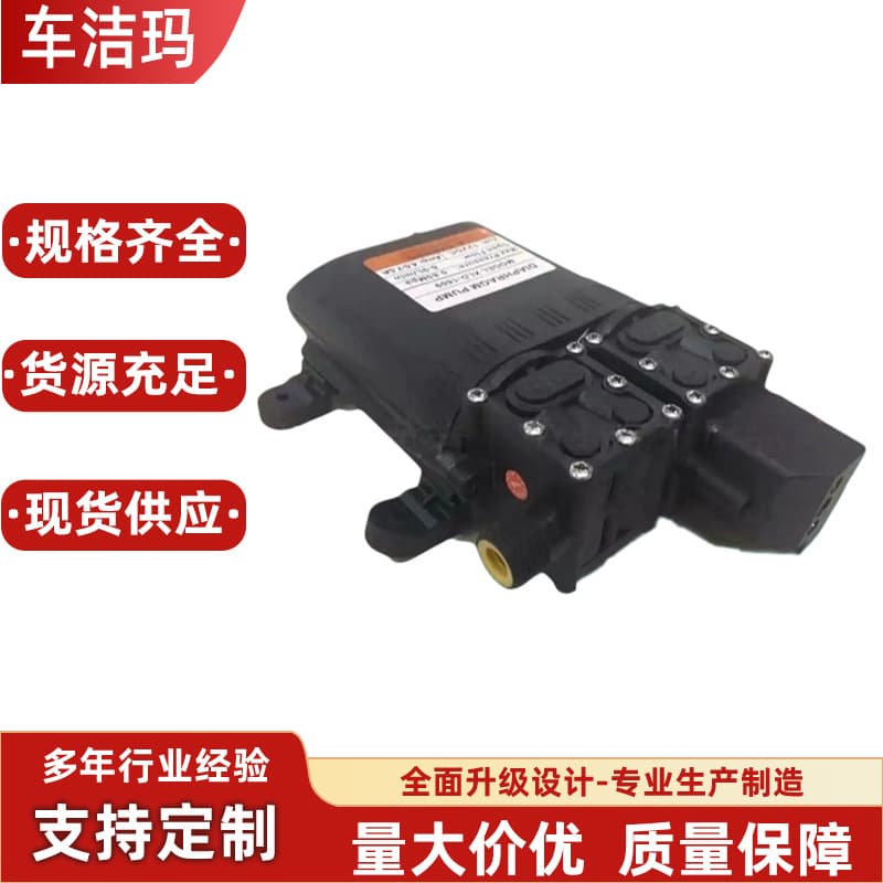 Car Wash Pump 12V 24V High Power Vehicle Diaphragm Pump Dual Pump Car Wash Tool