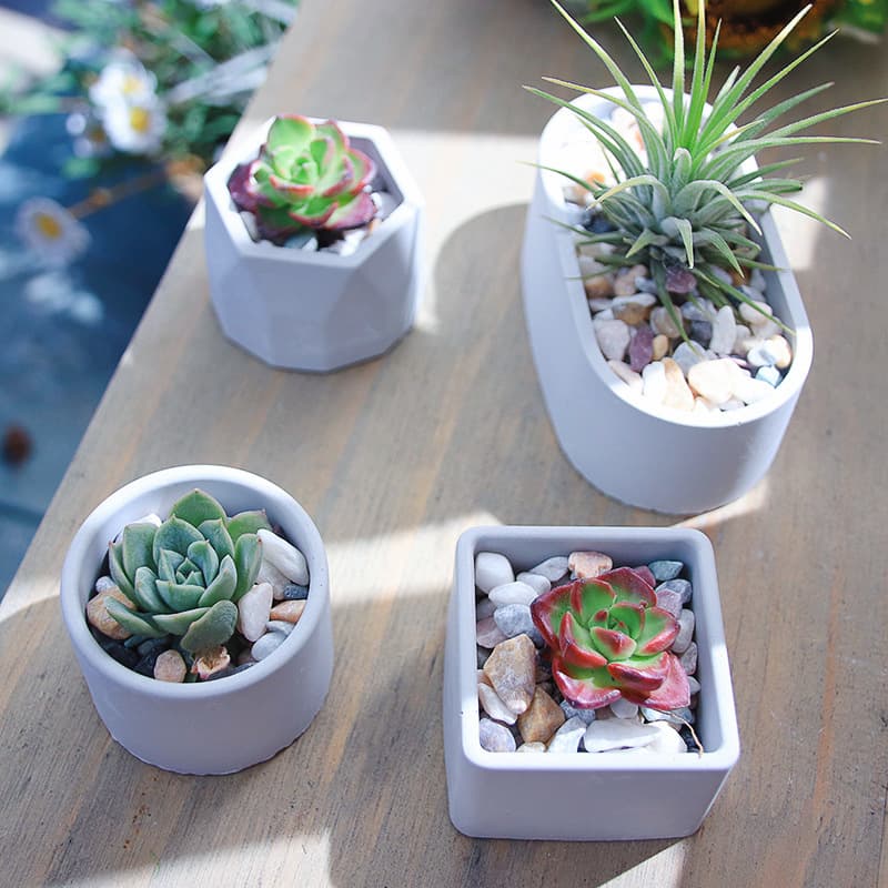 7L8K DIY Storage Box Resin Mold, Oval Flower Pot Succulent Mold, Cement Concrete, Aromatherapy Gypsum Diffuser