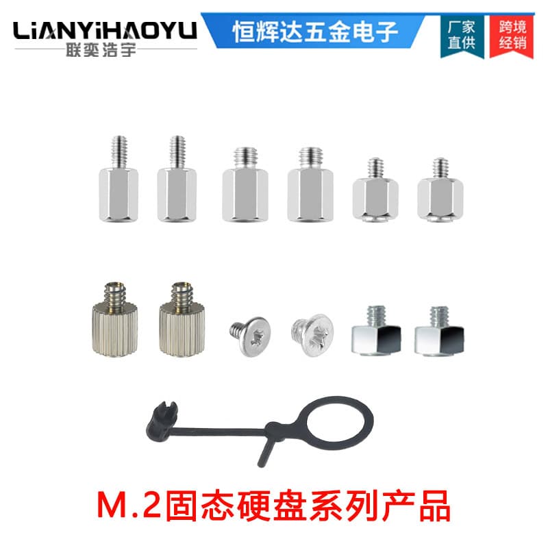 Screws for ASUS M.2 SSDs, MSI case and motherboard standoffs, Gigabyte mounting screws, and Maxsun screws.