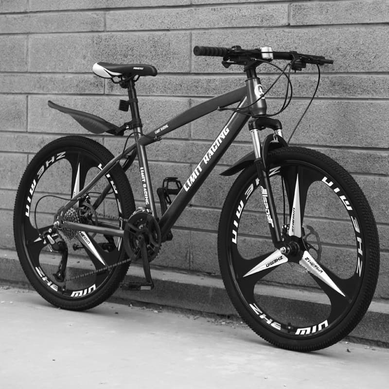 Adult mountain bikes for commuting, road bikes with gears, and discounts available for teenagers and women.