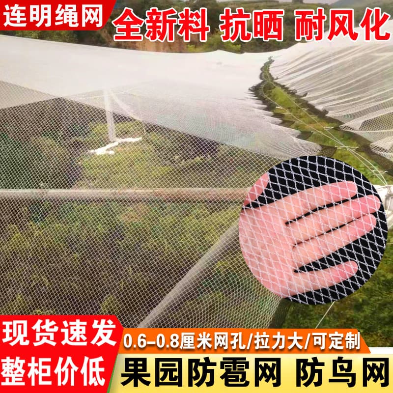 Hail and Bird Protection Nets for Orchards, Durable Outdoor Manufacturer Direct Sales