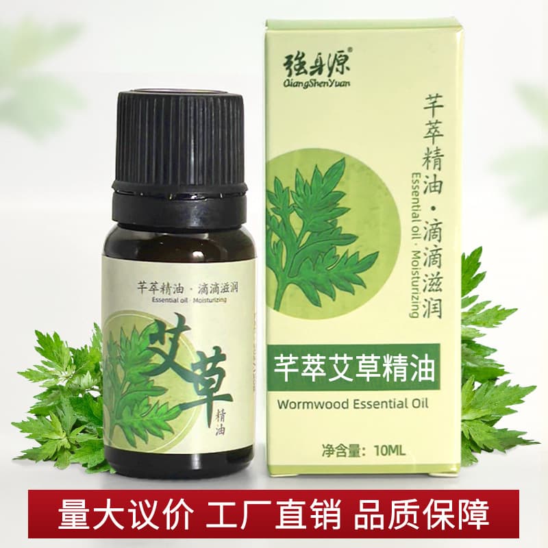 Strong Body Source Mugwort Massage Essential Oil 10ml Moisturizing Plant Essential Oil for Beauty Salon Massage And Back Opening