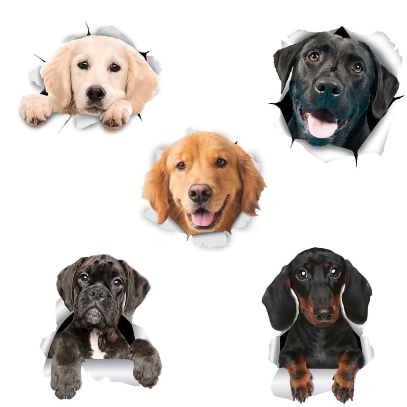 Cross-border foreign trade animal car stickers creative hole car stickers personalized glass wall stickers waterproof and sunscreen
