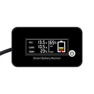Lithium Battery BMS Protection Board with Power Display, Supports One-Wire Communication RS232 RS485 TTL, Customizable