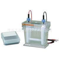 AE-6540B Mini Disc Electrophoresis Tank