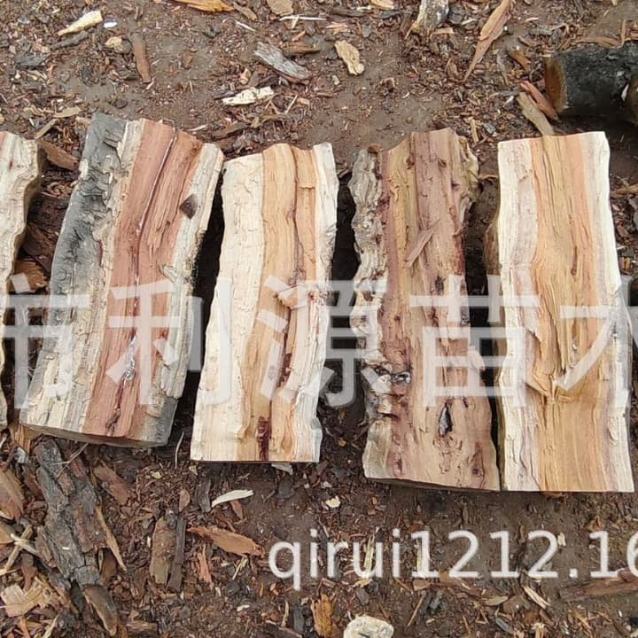 Jujube Wood Firewood Processing Custom for Fireplace Heating Dry Firewood Hard and Long-Burning for Smoking and Grilling Food Fruitwood Firewood