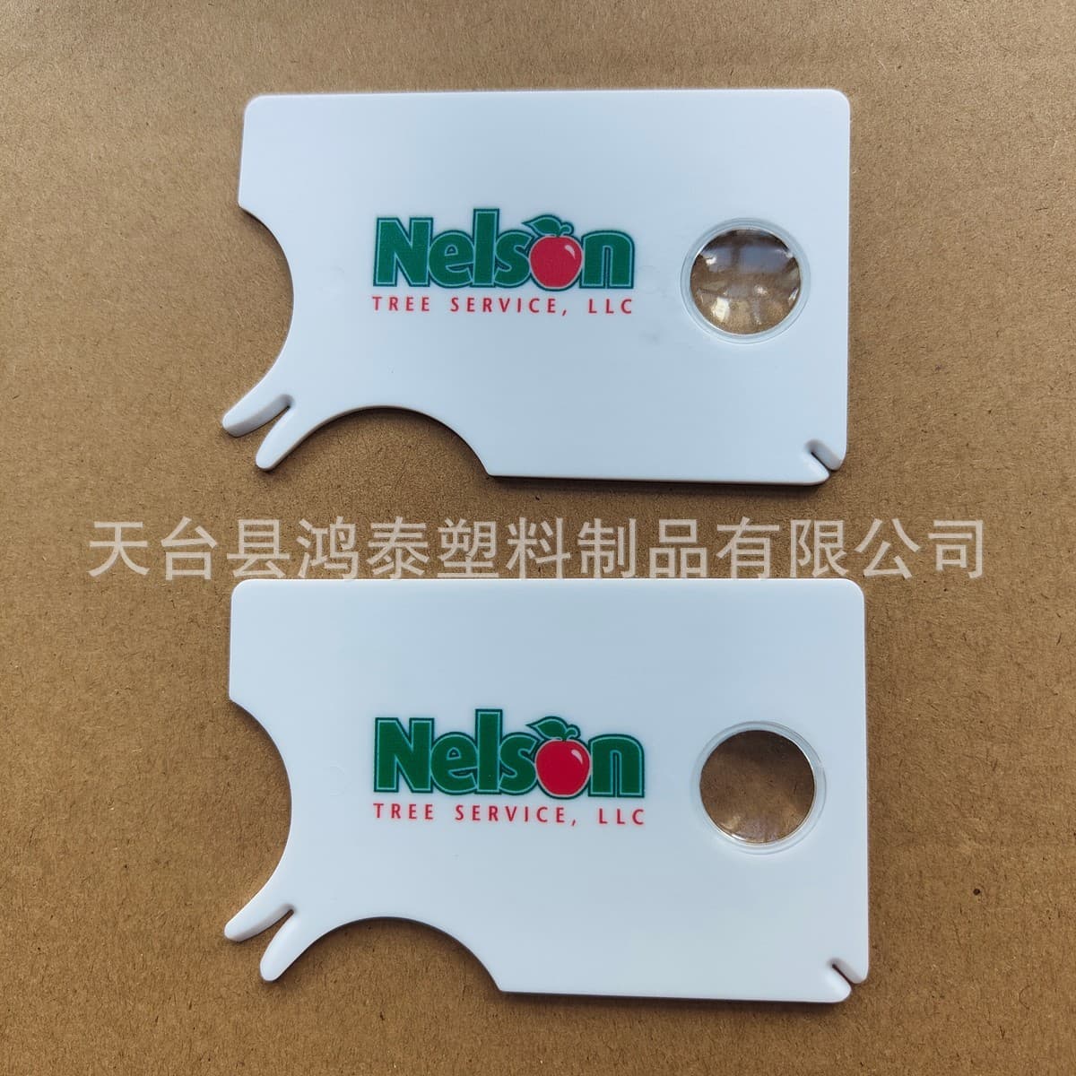Tick Removal Tool for Pets Dog Tick Remover Pet Flea and Lice Removal Tool Pet External Parasite Removal Card