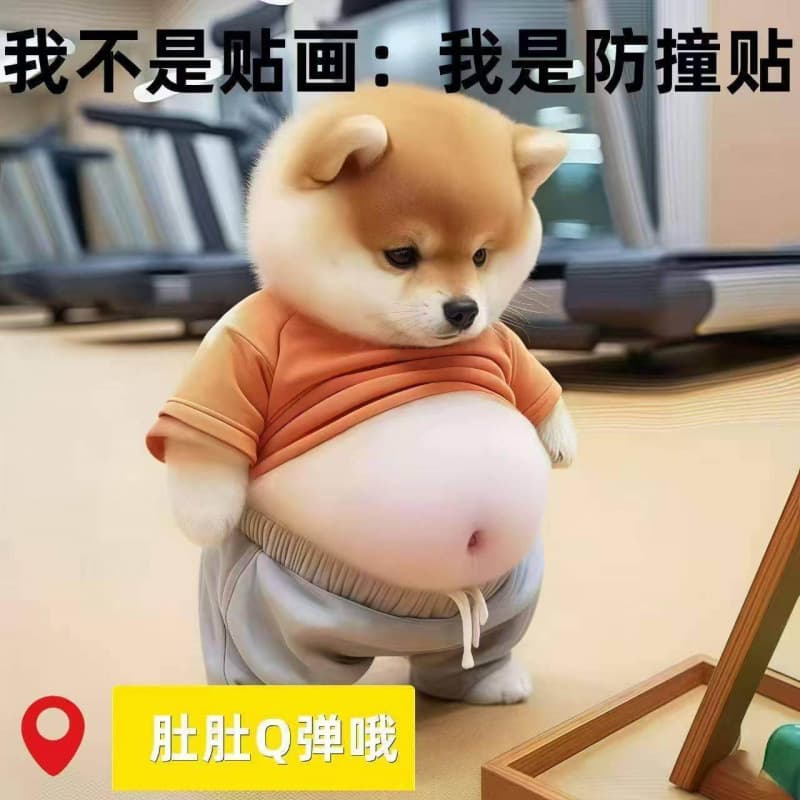[Soft Belly] Shiba Inu 3D Door Anti-Collision Sticker, Big Belly Squeeze Fun, Creative Stress Relief, Baby Minimalist