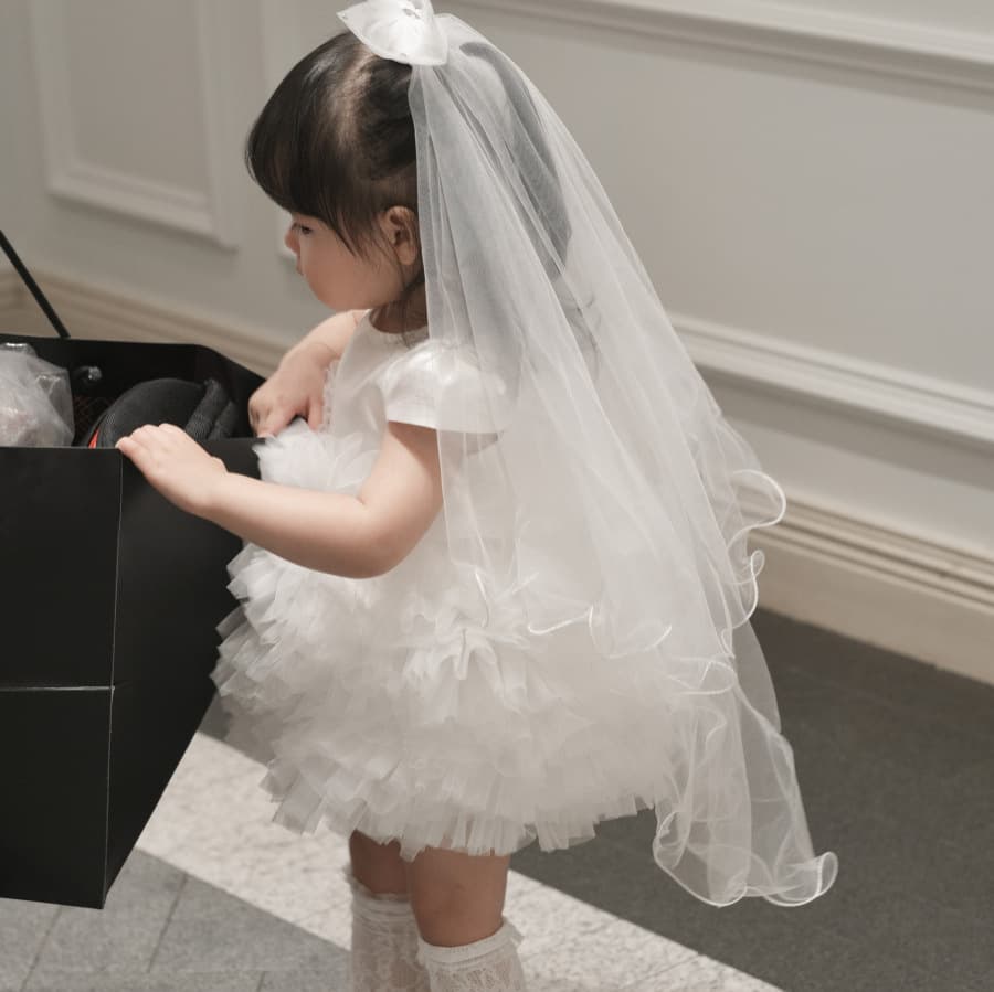 Children's Formal Dress Flower Girl Dress Baby Girl First Birthday 100 Days Full Month Princess Dress Puffy Dress Light Luxury High-End Dress