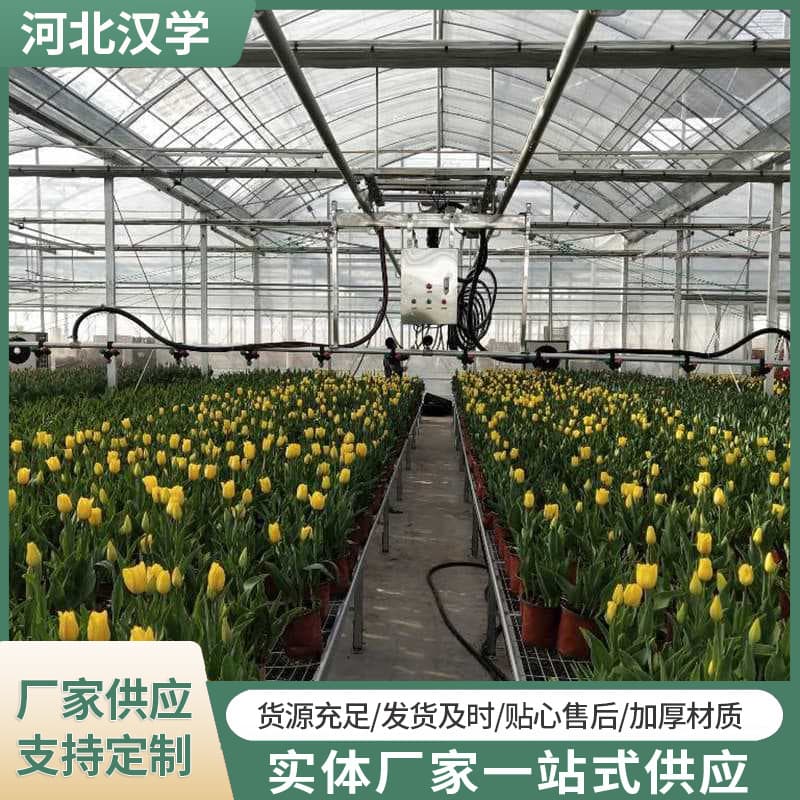 Factory Supply Mobile Irrigation System PG60-120 Series Variable Frequency Remote Control Irrigator for Seedling and Flower Watering