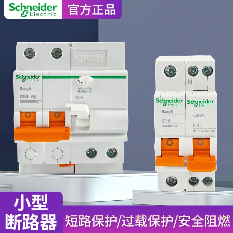 Schneider Air Switch Household Protection Circuit Breaker 1P/2P/3P/4P 63A Main Leakage Air Switch Double Input Double Output