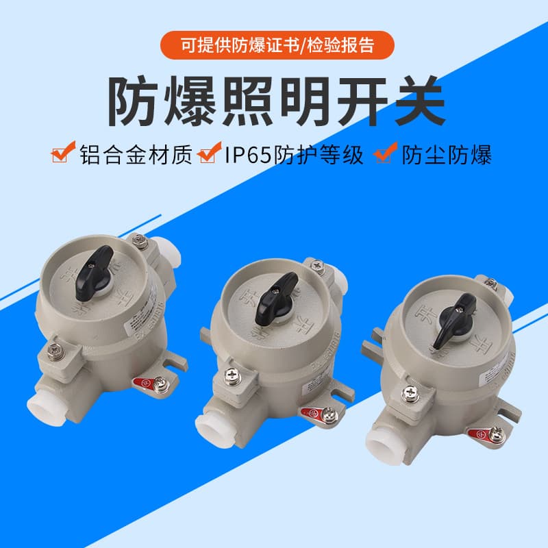Manufacturer supply SW-10 series aluminum alloy explosion-proof lighting switch 220v/380v corrosion-resistant control changeover switch