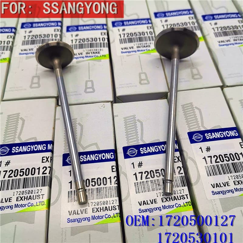 Korean Ssangyong Korando Intake Valve Exhaust Valve Intake and Exhaust Valve 1720500127 1720530101
