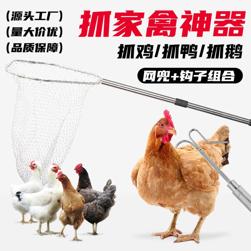 New Outdoor Poultry Farm Chicken Catcher Tool Stainless Steel Net and Hook Combo Set Heavy Duty Wild Chicken Catcher