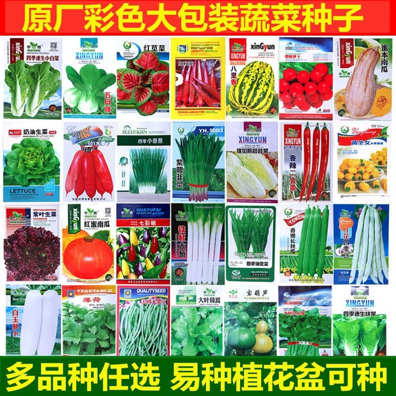 Vegetable Seeds Original Four-Season Sowing Courtyard Balcony Farmhouse Potted Coriander Tomato Pepper Fruit Seeds