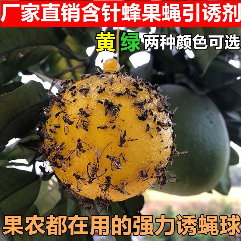 Insect Trap Mosquito Trap Fly Trap Ball Citrus Melon Fruit Fly Trap Needle Wasp Melon Fly Yellow Green Sticky