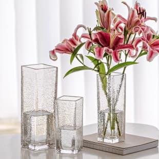 Glass Cylinder Vase for Living Room Flower Arrangement, Transparent Premium Hydroponic Tulip Vase, Light Luxury Trendy Hammered Texture