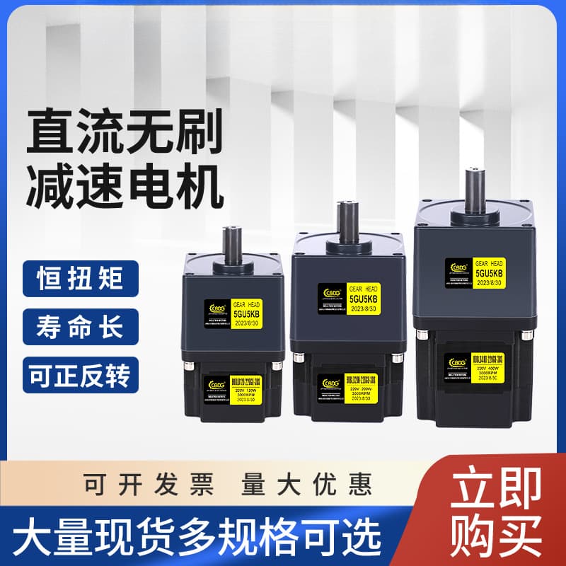 Brushless Geared Motor Adjustable Speed High Voltage 220V / Low Voltage DC 24V 48V Constant Torque High Power Forward and Reverse