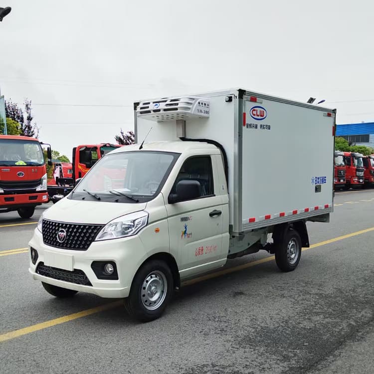 Export Isuzu refrigerated van, small box-type refrigerated minivan for vaccines to Rwanda.