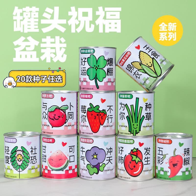 Plant Desktop Gift Sunflower Growing Kit for Elementary Students Dormitory Small Potted Plant DIY Lucky Clover Tin Can