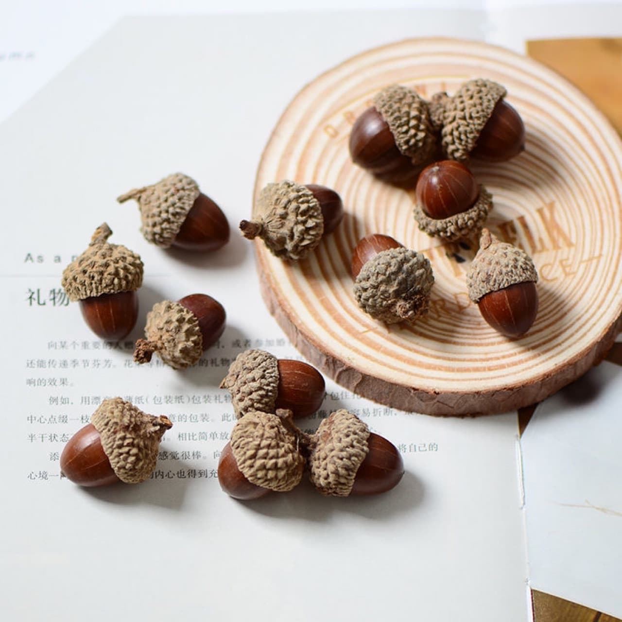 Natural Wild Oak Cones with Hats Dry Flowers Oak Bowls Decorative Ornaments Handmade Crafted Modern Simple Style Home Decor