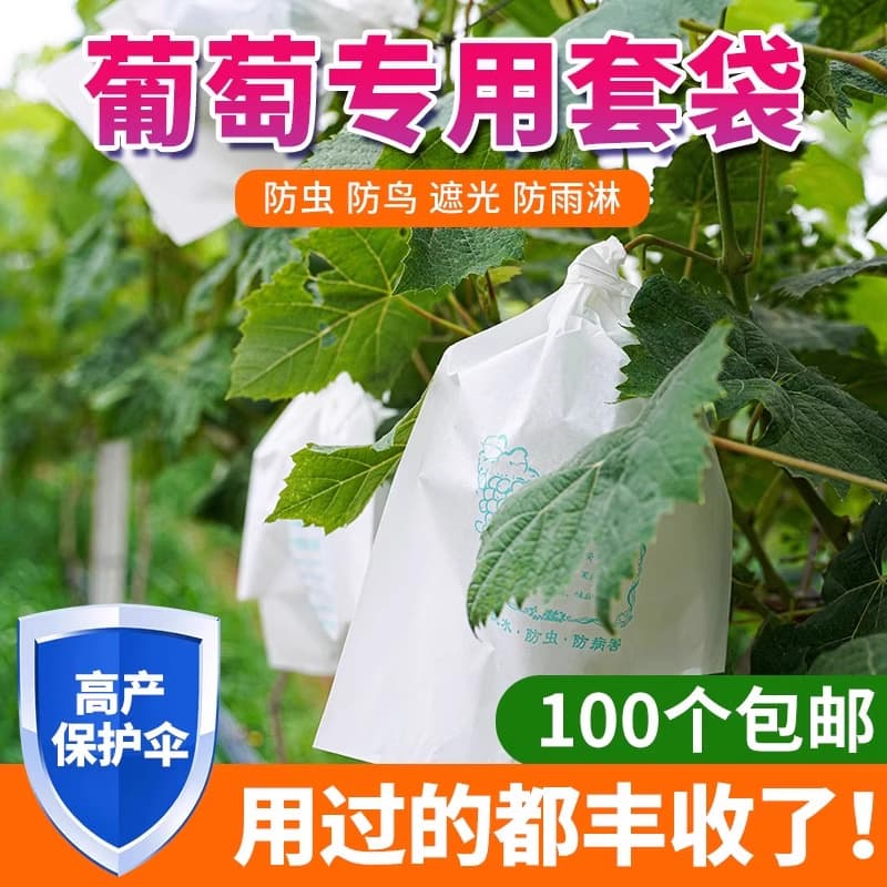 Grape bag insect-proof fruit bag waterproof paper bag for grape protection
